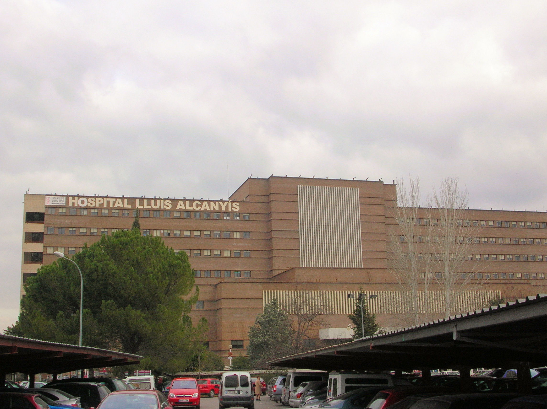 El Sindicato CSIF Alerta De La Saturación Del Hospital Lluís Alcanyís